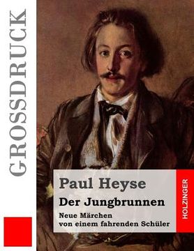 portada Der Jungbrunnen (Großdruck): Neue Märchen von einem fahrenden Schüler (in German)