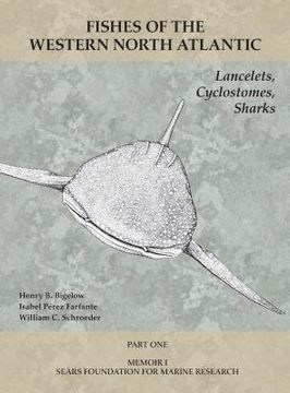 portada Lancelets, Cyclostomes, Sharks: Part 1