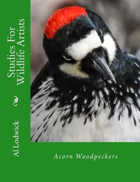 portada Acorn Woodpeckers: Studies For Wildlife Artists (en Inglés)
