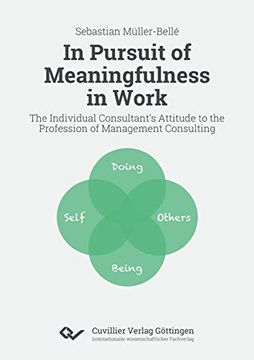 portada In Pursuit of Meaningfulness in Work. The Individual Consultant's Attitude to the Profession of Management Consulting (in English)