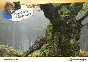 portada Kamishibai mit Eberhart - Wald Erleben - set: Erzähltheater-Karten mit (Vor-)Leseheft-Paket (en Alemán)