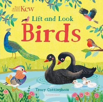 portada Kew: Lift and Look Birds (en Inglés)