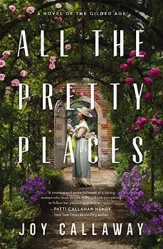 portada All the Pretty Places: A Novel of the Gilded age (en Inglés)