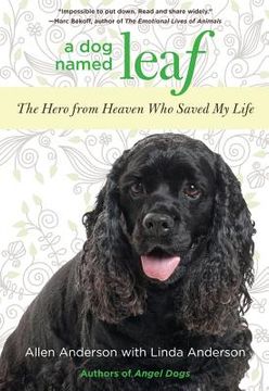 portada a dog named leaf: the hero from heaven who saved my life (in English)