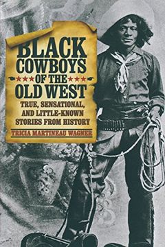 portada Black Cowboys of the old West: True, Sensational, and Little-Known Stories From History (in English)