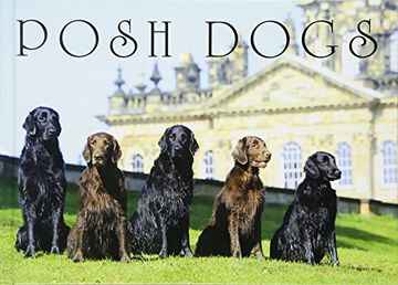 portada Posh Dogs