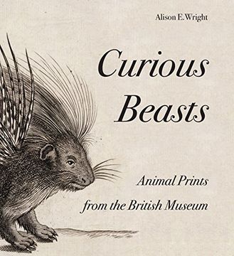 portada Curious Beasts: Animal Prints From the British Museum (British Museum Department of Prints and Drawings) (in English)