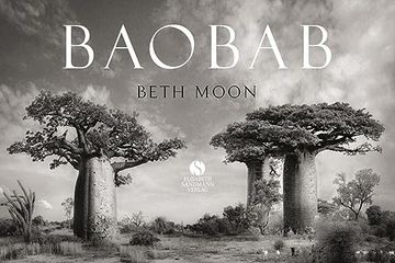 portada Baobab.