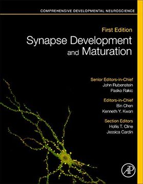 portada Synapse Development and Maturation: Comprehensive Developmental Neuroscience (in English)