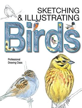 portada Sketching & Illustrating Birds: Professional Drawing Class (in English)