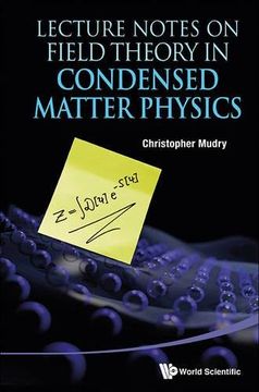 portada Lecture Notes on Field Theory in Condensed Matter Physics (en Inglés)