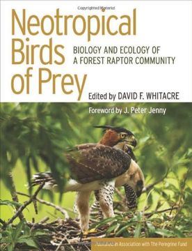 portada neotropical birds of prey