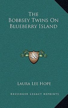 portada the bobbsey twins on blueberry island (en Inglés)