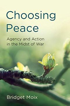 portada Choosing Peace (Peace and Security in the 21St Century) (en Inglés)