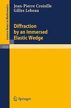 portada diffraction by an immersed elastic wedge (en Inglés)