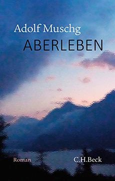 portada Aberleben: Roman (en Alemán)