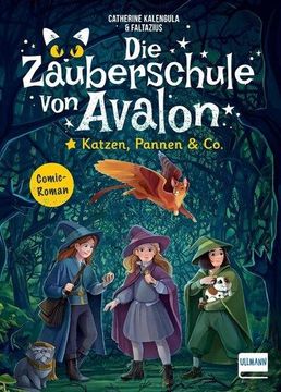 portada Die Zauberschule von Avalon - Katzen, Pannen & co. (in German)