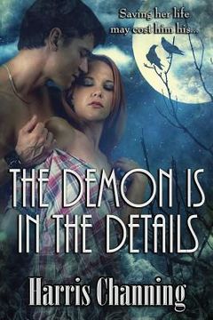 portada The Demon is in the Details: Immortal Protector
