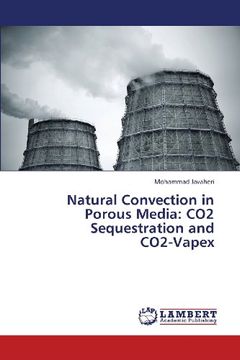portada Natural Convection in Porous Media: Co2 Sequestration and Co2-Vapex