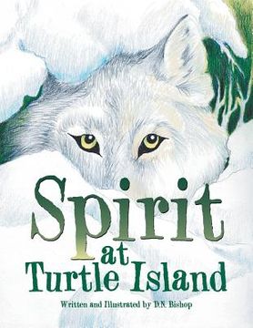 portada Spirit at Turtle Island