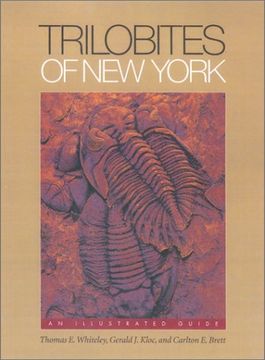 portada Trilobites of new York: Institutions and Social Conflict, 1946-1970 (in English)