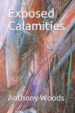 portada Exposed Calamities