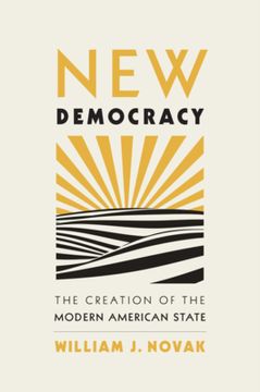 portada New Democracy: The Creation of the Modern American State (in English)