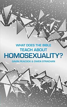 portada What Does the Bible Teach about Homosexuality?: A Short Book on Biblical Sexuality (in English)