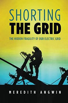 portada Shorting the Grid: The Hidden Fragility of our Electric Grid 
