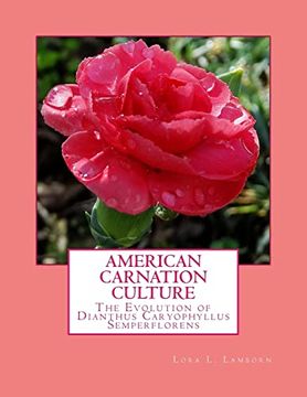 portada American Carnation Culture: The Evolution of Dianthus Caryophyllus Semperflorens (en Inglés)