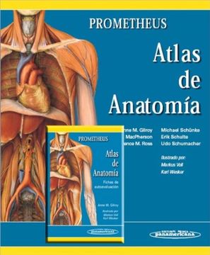 portada Prometheus. Atlas de Anatomía + Fichas de Autoevaluación