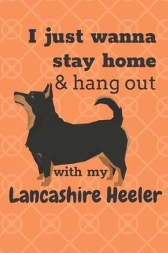 portada I just wanna stay home & hang out with my Lancashire Heeler: For Lancashire Heeler Dog Fans (en Inglés)