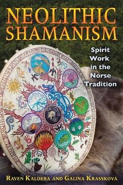 portada Neolithic Shamanism: Spirit Work in the Norse Tradition (en Inglés)