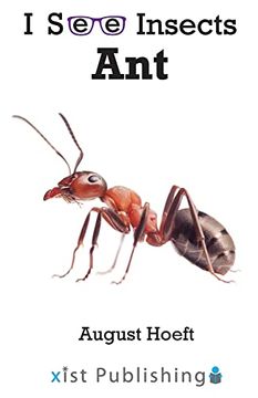 portada Ant (i see Insects) (in English)