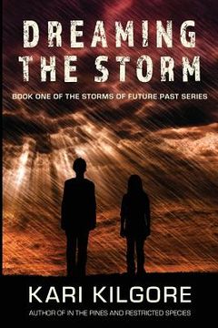 portada Dreaming the Storm