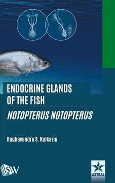 portada Endocrine Glands of the Fish: Notopterus notopterus (en Inglés)