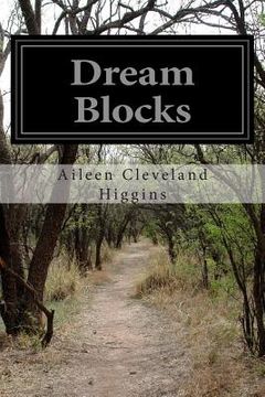 portada Dream Blocks (en Inglés)