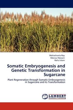 portada somatic embryogenesis and genetic transformation in sugarcane (en Inglés)