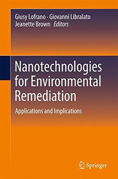 portada Nanotechnologies for Environmental Remediation: Applications and Implications