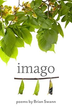 portada Imago (Johns Hopkins: Poetry and Fiction) (in English)