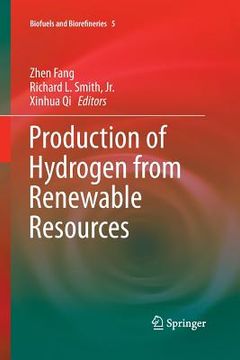 portada Production of Hydrogen from Renewable Resources (en Inglés)