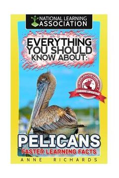 portada Everything You Should Know About: Pelicans Faster Learning Facts (en Inglés)