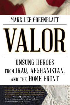 portada Valor: Unsung Heroes from Iraq, Afghanistan, and the Home Front