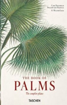 portada El libro de las palmeras. The Book of Palms (Bilingue)