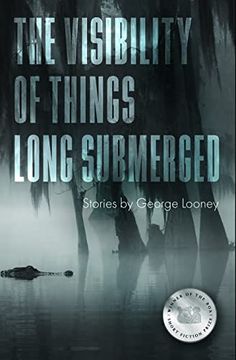 portada The Visibility of Things Long Submerged (American Reader Series, 39) (in English)