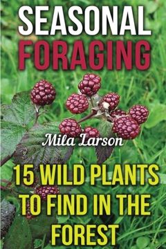 portada Seasonal Foraging: 15 Wild Plants To Find In The Forest