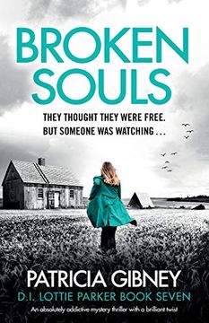 portada Broken Souls: An Absolutely Addictive Mystery Thriller With a Brilliant Twist: 7 (Detective Lottie Parker) (in English)