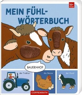 portada Mein Fühl-Wörterbuch (in German)