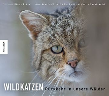 portada Wildkatzen: Rückkehr in Unsere Wälder