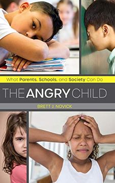 portada The Angry Child: What Parents, Schools, and Society can do (en Inglés)